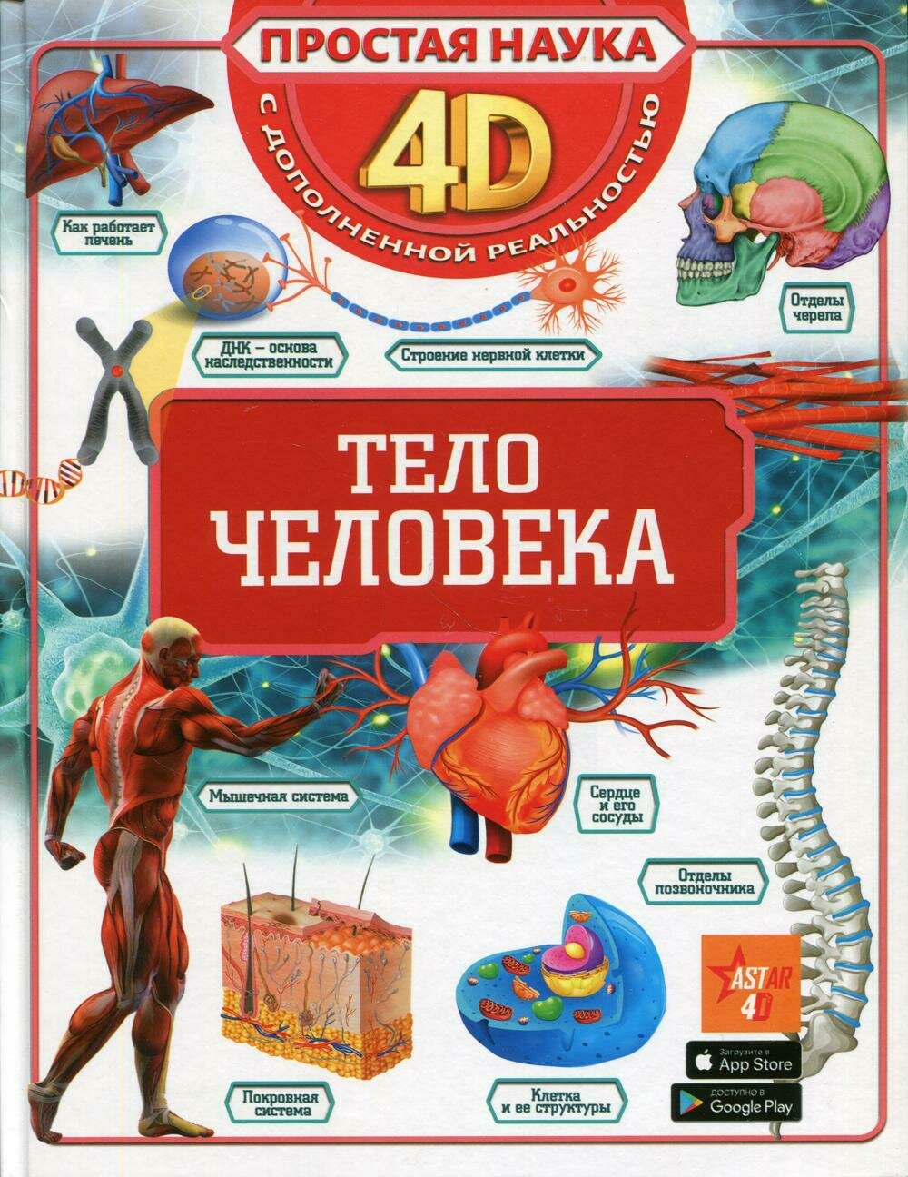 Тело человека / Спектор Анна Артуровна