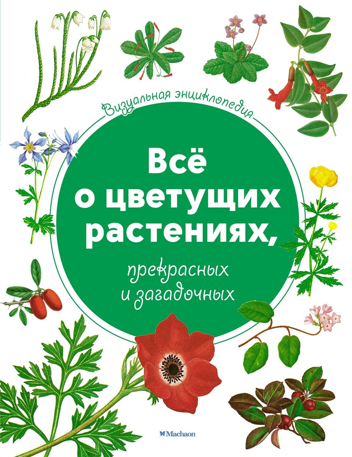 Всё о цветущих растениях, прекрасных и загадочных. Визуальная энциклопедия / Тони Харрис