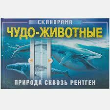 Сканорама. Природа сквозь рентген. Чудо-животные / Клейбурн А. .