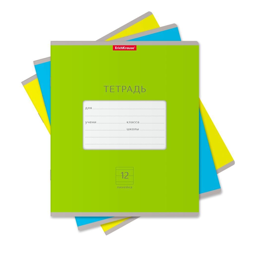 Тетрадь школьная  ErichKrause® , 12 листов,  косая линейка