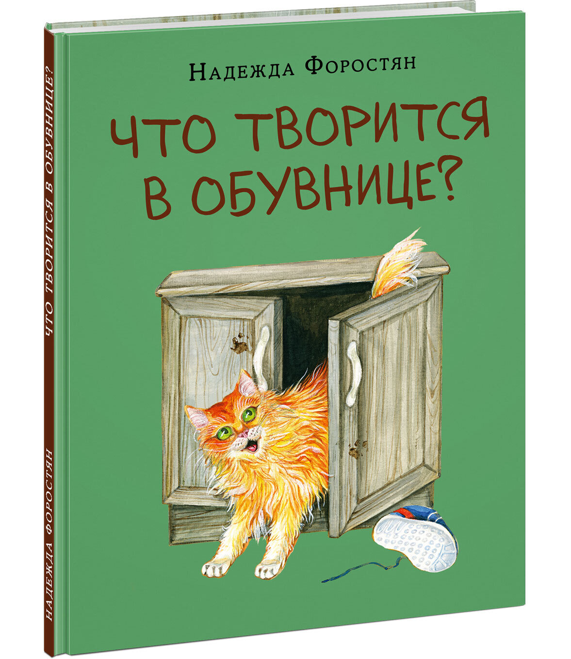 Что творится в обувнице? / Форостян Надежда