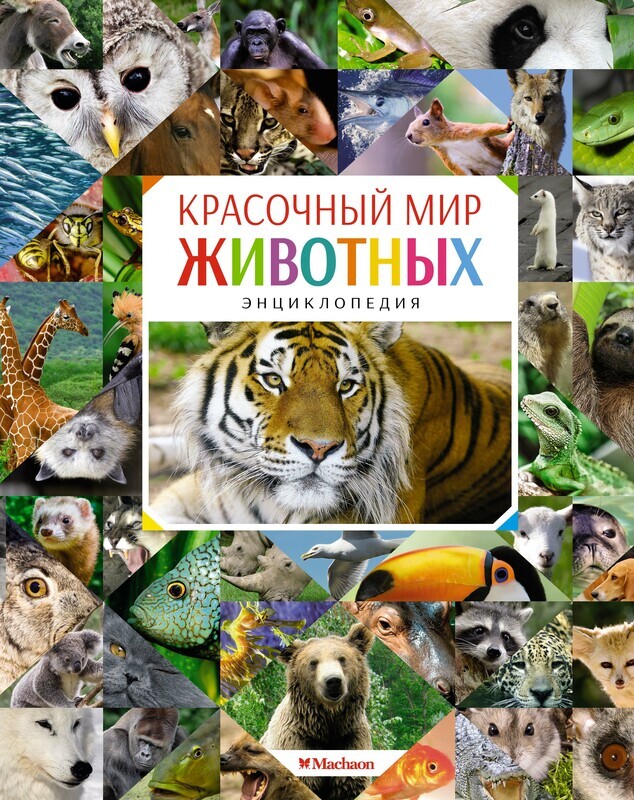 Красочный мир животных. Энциклопедия / Кристин Балле