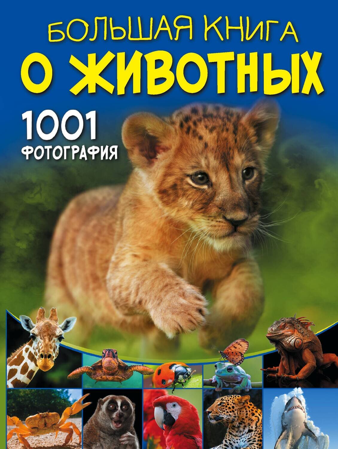 Большая книга о животных. 1001 фотография / Ермакович Дарья Ивановна