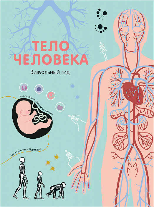 Тело человека. Визуальный гид / Перабони К.