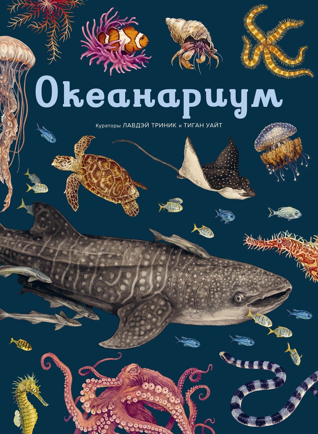 Океанариум / Триник, Уайт