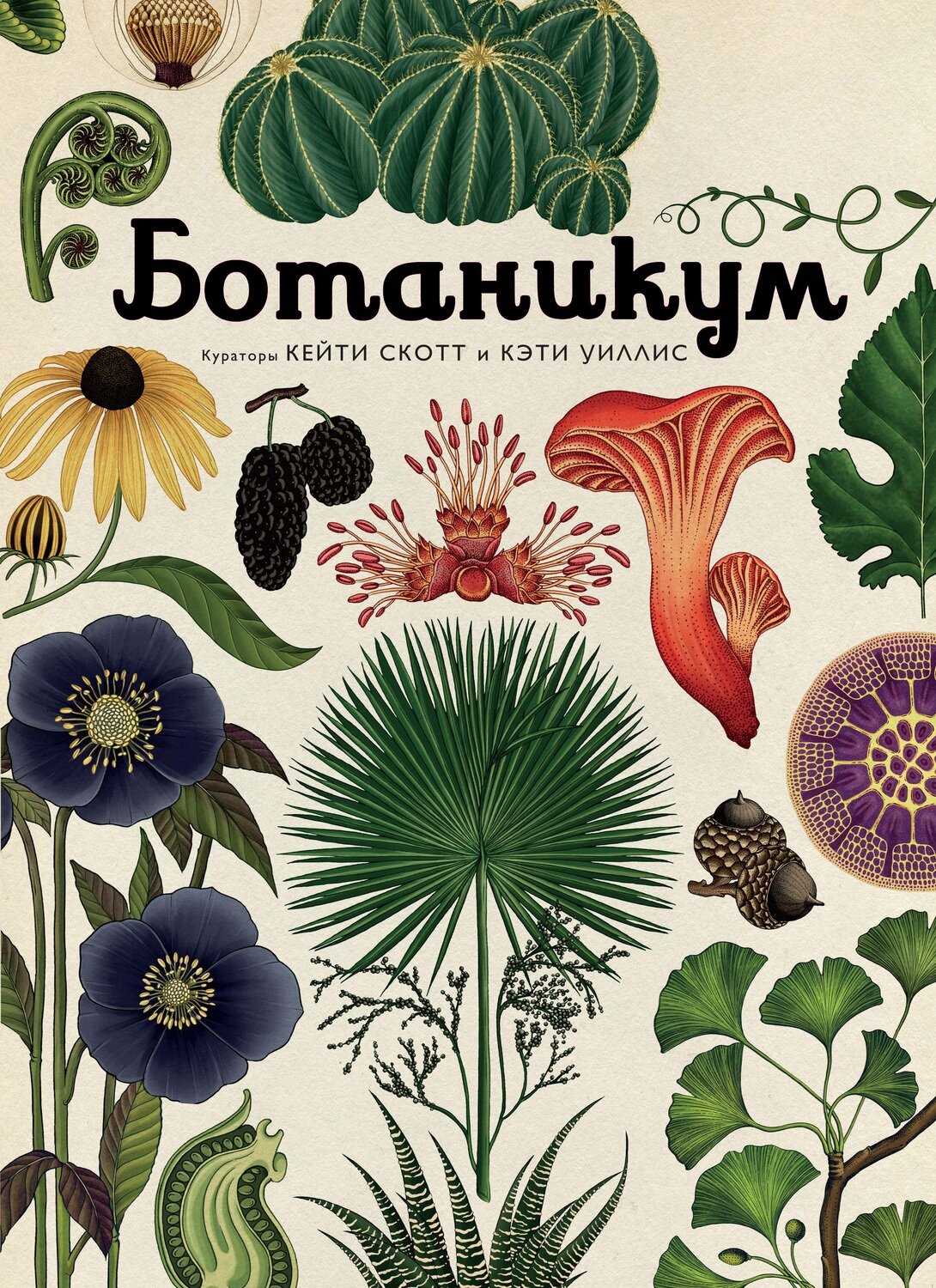 Ботаникум / Уиллис К.,Скотт К.