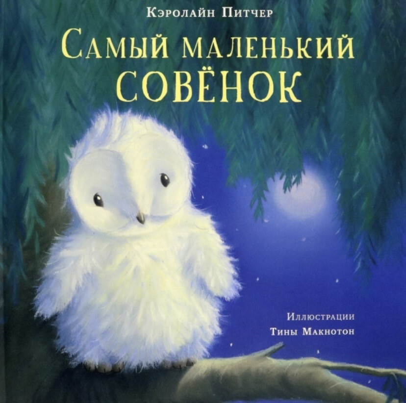 Самый маленький совёнок.Кэролайн Питчер