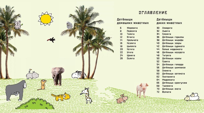 Это мой малыш! Детёныши разных животных