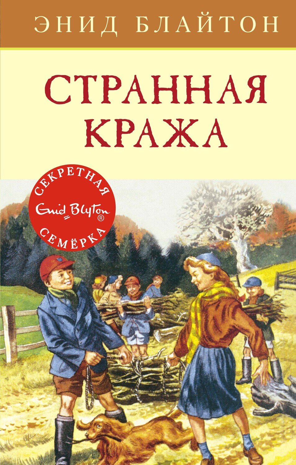 Странная кража / Энид Блайтон