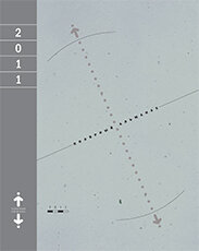 Полярный альманах, 2011 / Под общей редакцией Р. Алиева, Ю. Бурлакова