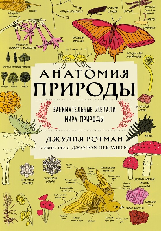 Анатомия природы. Занимательные детали мира природы / Ротман Д.