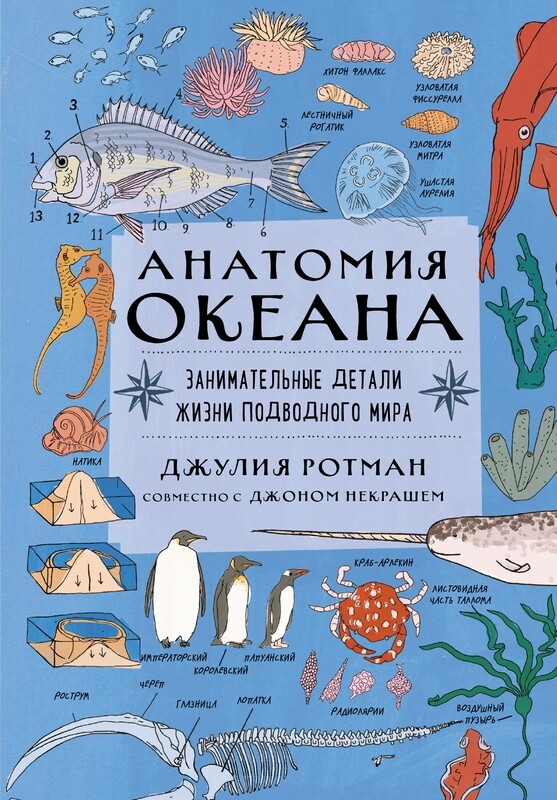 Анатомия океана. Занимательные детали жизни подводного мира / Ротман Д.