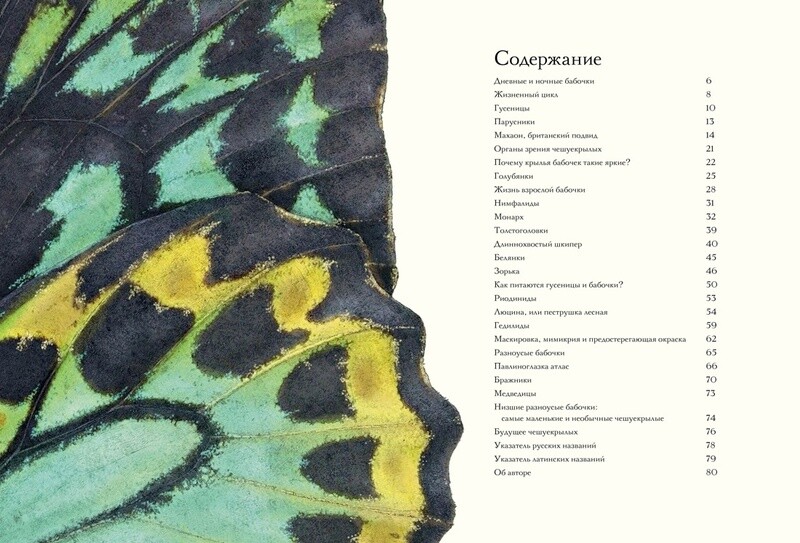 Загадочный мир бабочек/ Бен Ротери