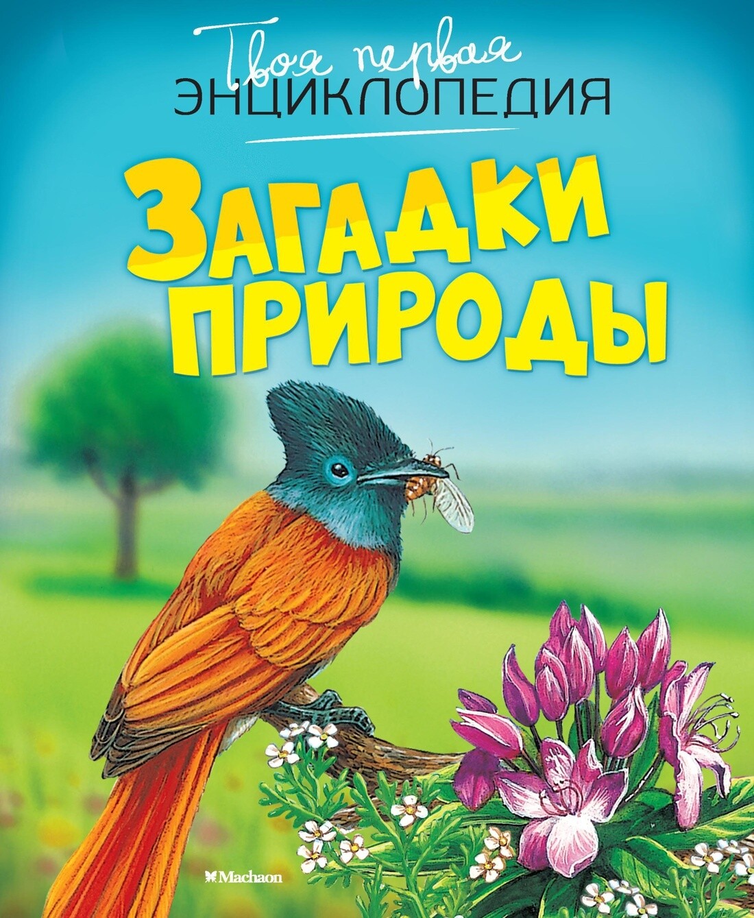 Загадки природы. Твоя первая энциклопедия