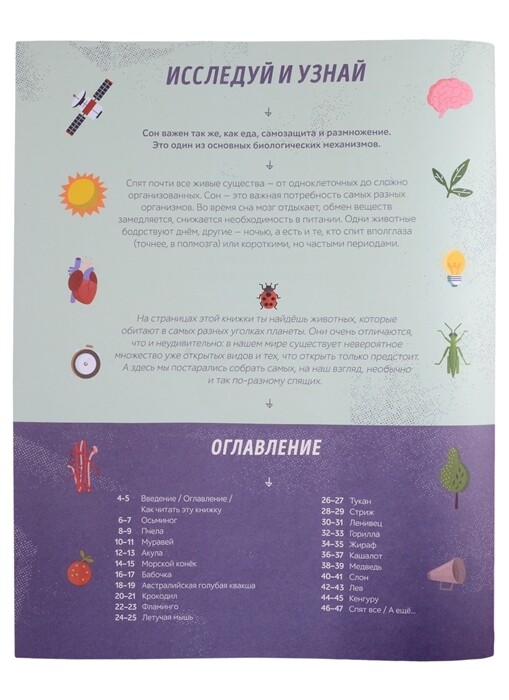 Как спит пчела? Удивительные факты о животных и их суперспособностях