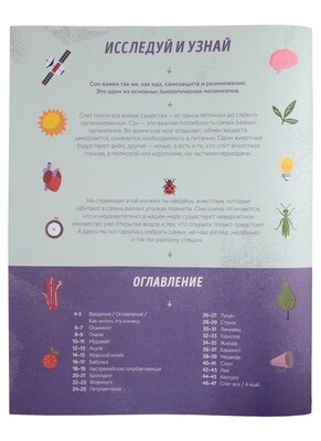 Как спит пчела? Удивительные факты о животных и их суперспособностях