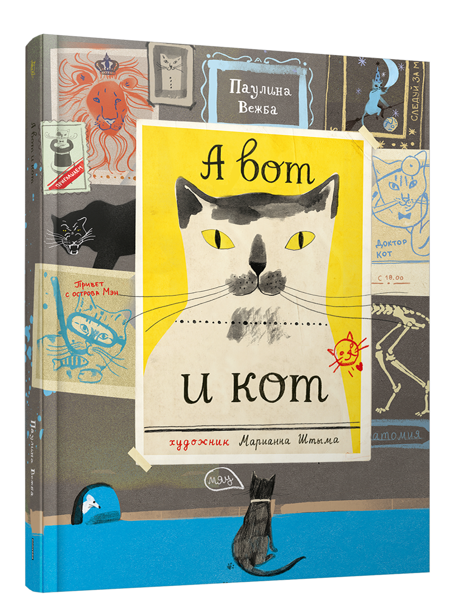 А вот и кот / Вежба Паулина