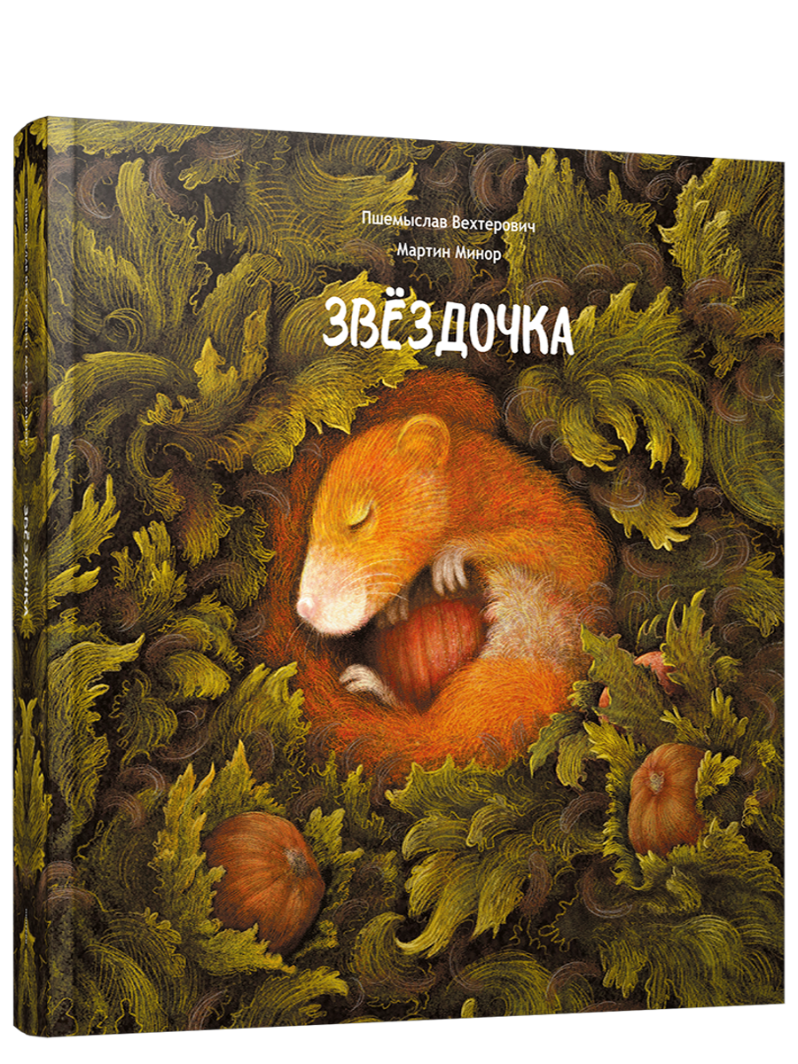Звёздочка / Пшемыслав Вехтерович, Мартин Минор
