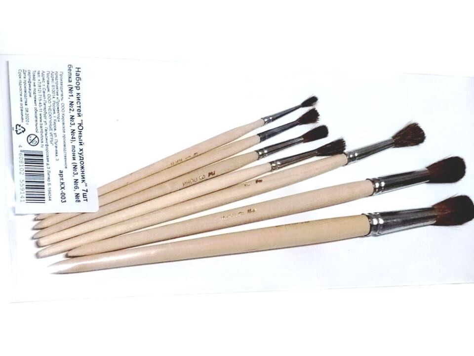 Набор кистей "Юный художник" 