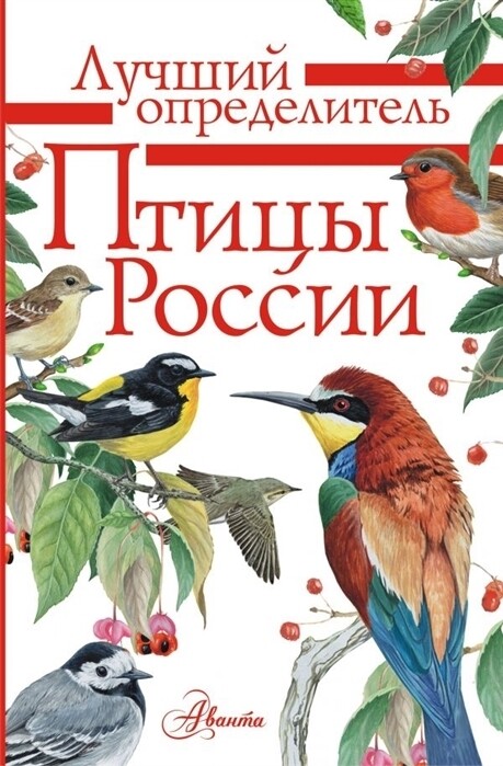 Птицы России. / Мосалов А., Волцит П.