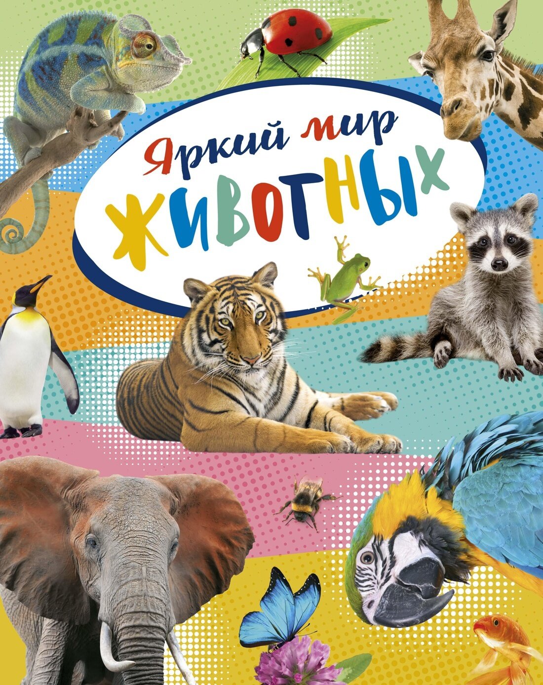 Яркий мир животных / Кристин Балле