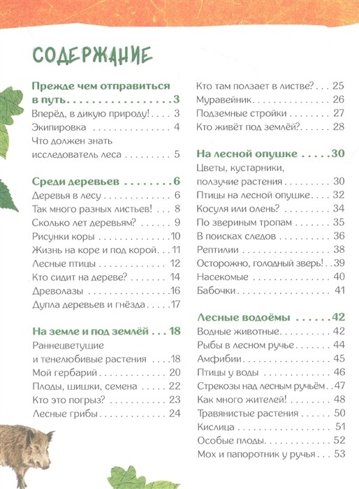 Энциклопедия для детского сада: ЖИВОТНЫЕ ПТИЦЫ РАСТЕНИЯ