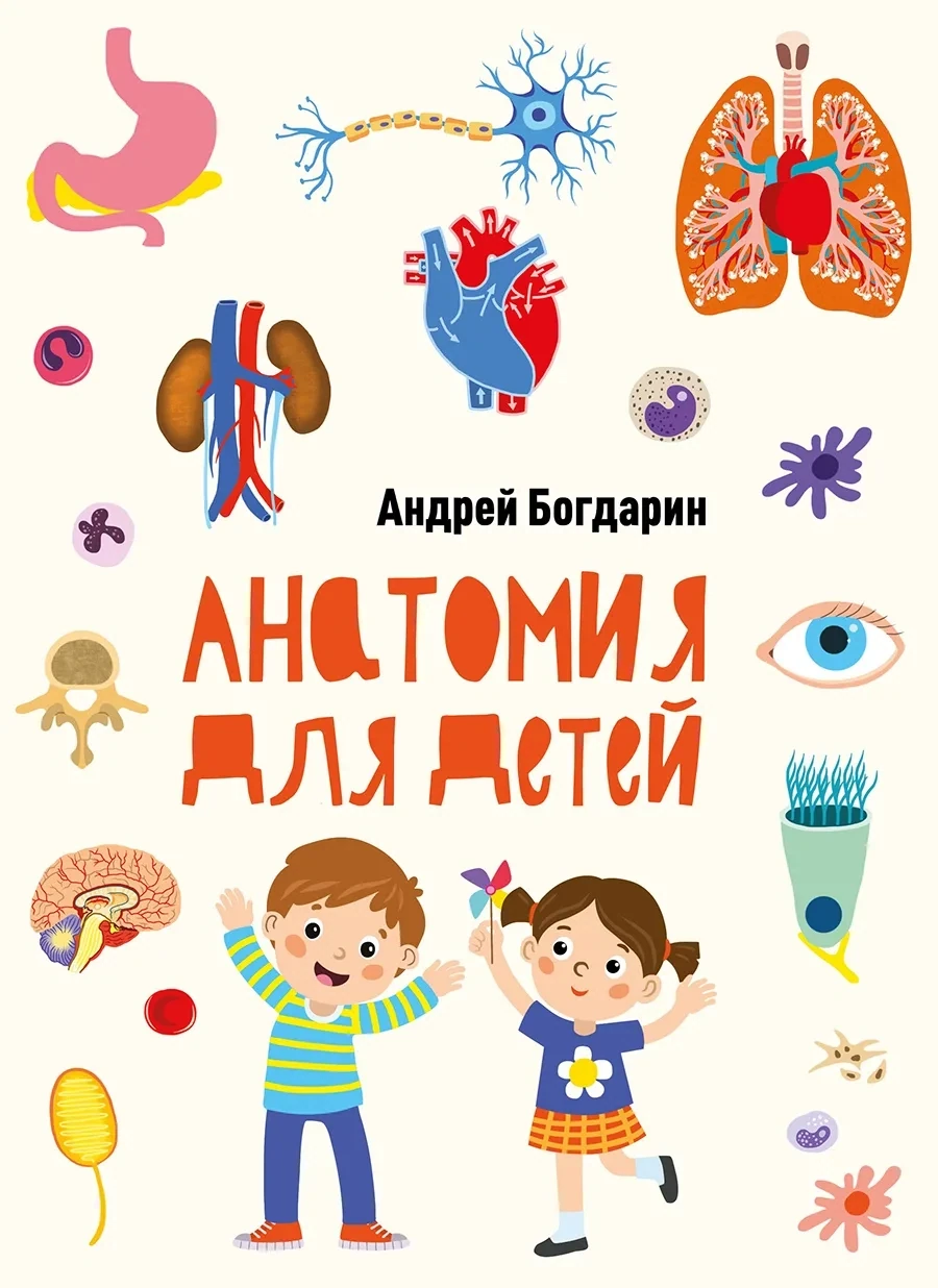 Анатомия для детей / Богдарин Андрей