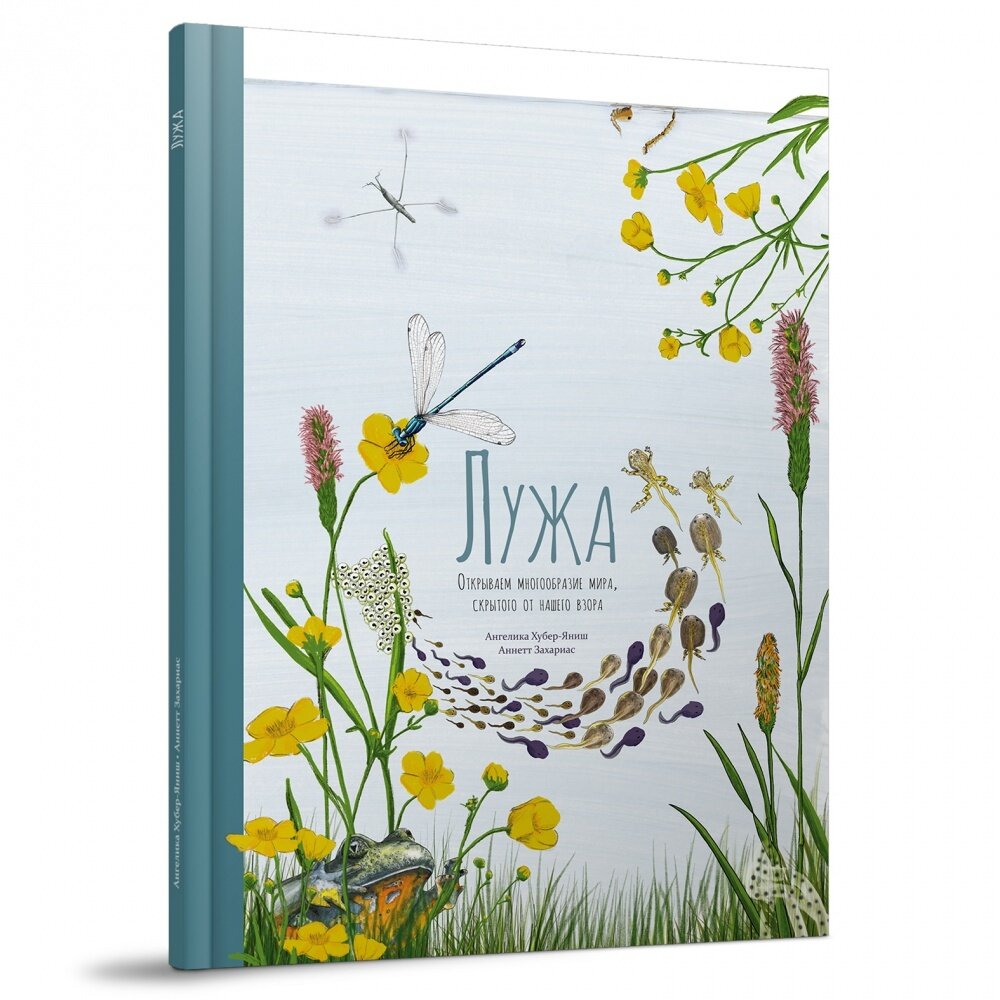 Лужа. Открываем многообразие мира, скрытого от нашего взора / Ангелика Хубер-Яниш