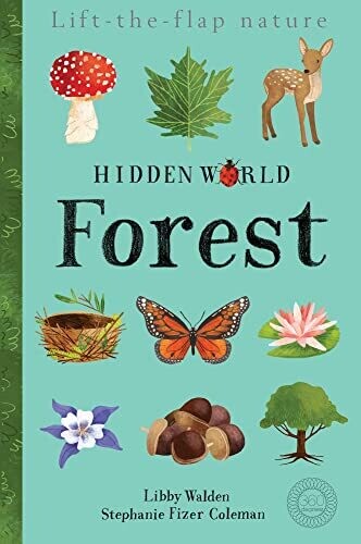 Hidden World: Forest (Lift the Flap Nature)/Libby Walden