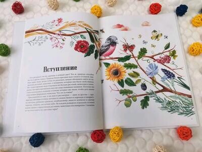 Двенадцать красок природы / Яна Седлачкова, Штепанка Сэканинова