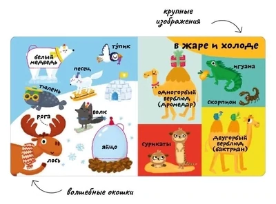 Мои первые 100 слов с окошками. Такие разные животные