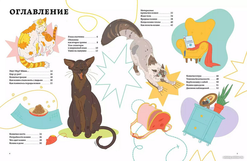 Секреты кошек. Как понять свою кошку и подружиться с ней / Саша Рауш