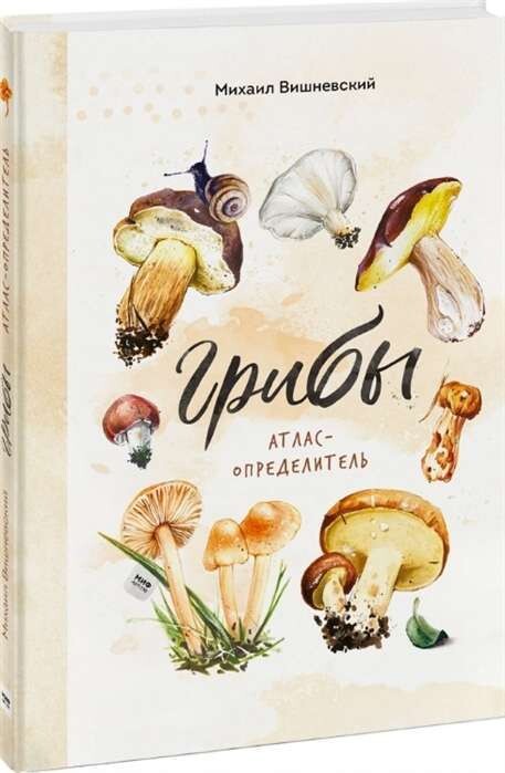 Грибы. Атлас-определитель / Михаил Вишневский