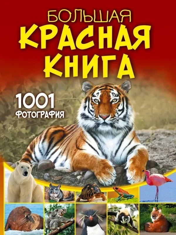 Большая красная книга. 1001 фотография / Анна Спектор
