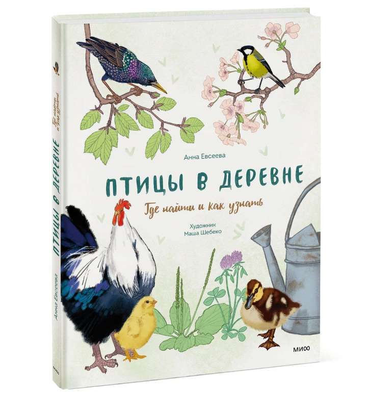 Птицы в деревне. Где найти и как узнать / Анна Евсеева