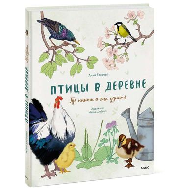 Птицы в деревне. Где найти и как узнать / Анна Евсеева