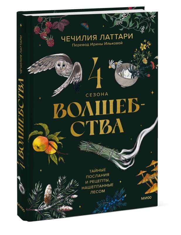 4 сезона волшебства. Тайные послания и рецепты, нашептанные лесом / Чечилия Латтари