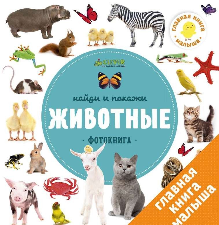 Найди и покажи. Фотокниги. Животные
