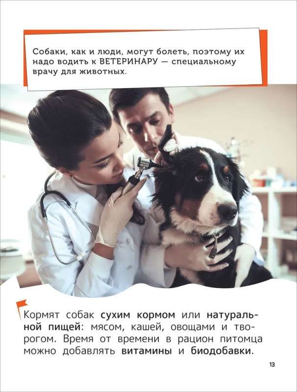 Домашние любимцы. Энциклопедия для первого чтения с крупными буквами