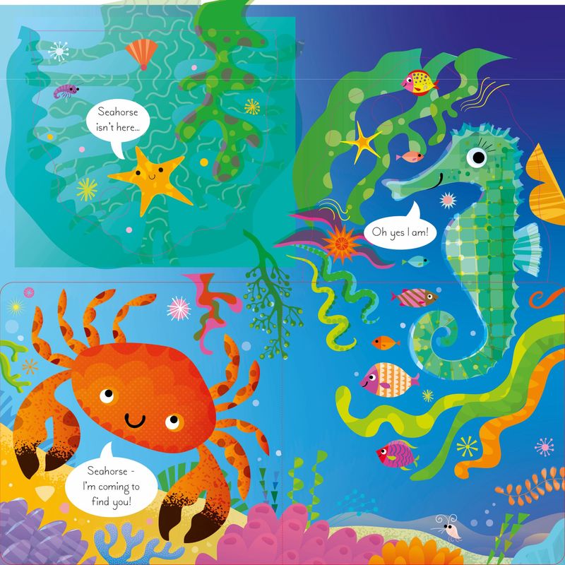 Play hide and seek with octopus