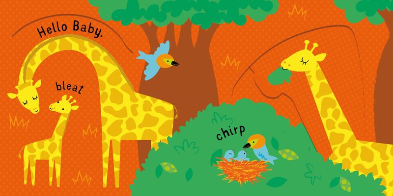 Slide and see animals