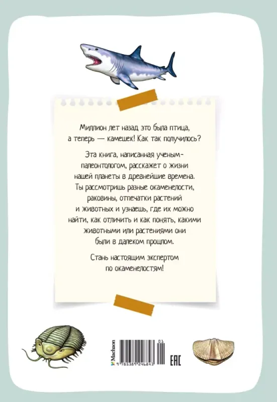 01926ce5-9289-7a0b-b6fc-ebcfb7f770fa-large.webp