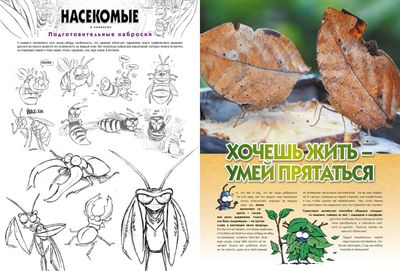 Насекомые т. 1