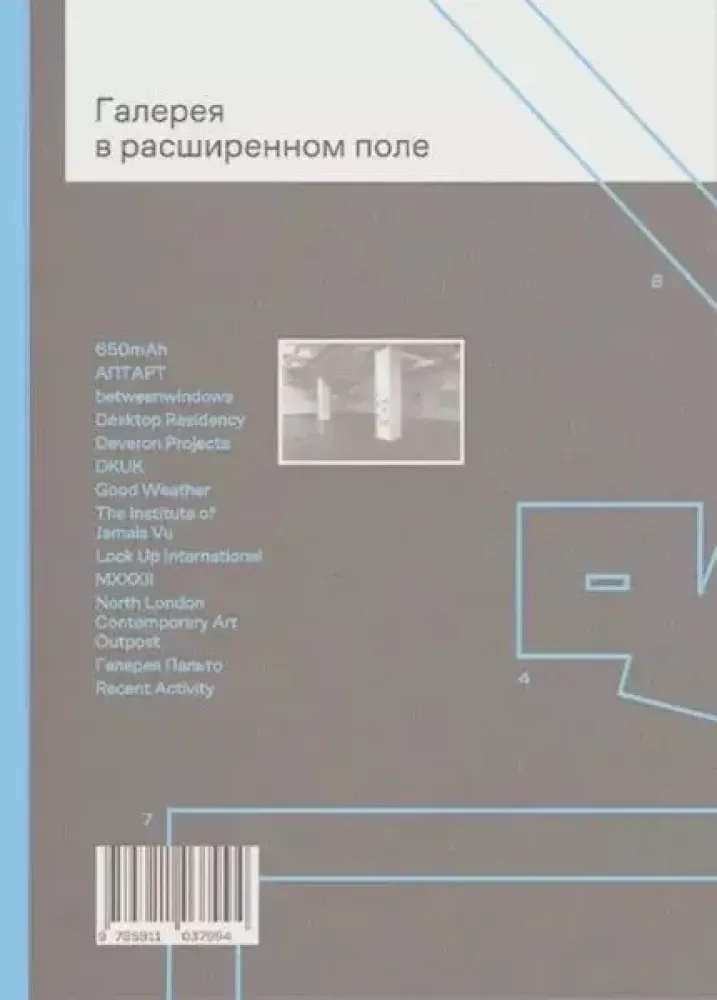 Галерея в расширенном поле / Шон Кэй
