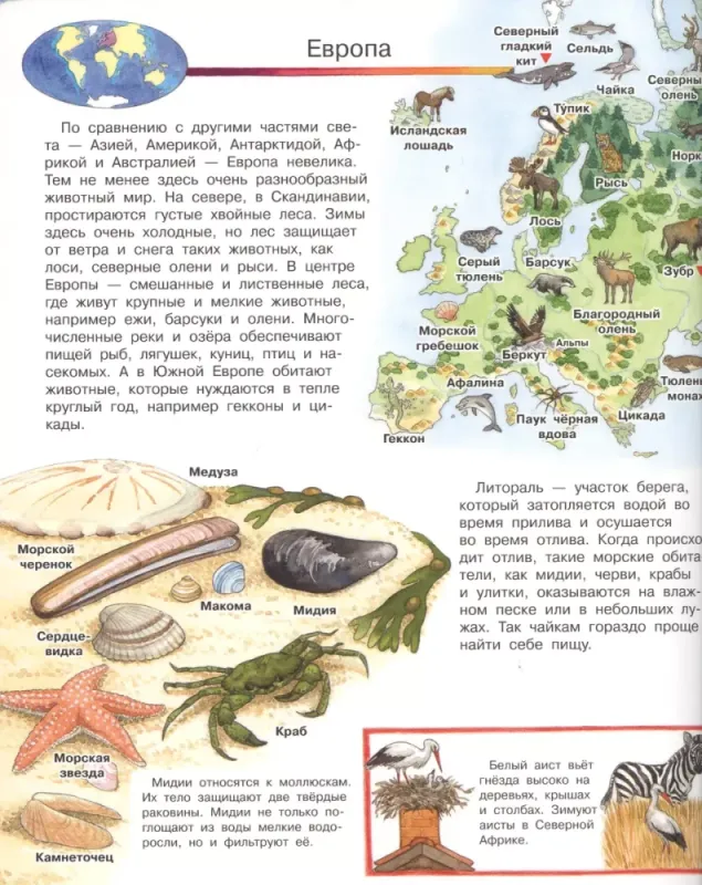 018ee428-bfdb-709d-acaf-60f2533cbf6b-large.webp