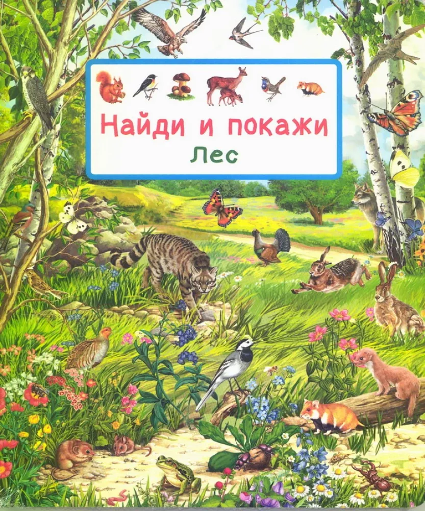 Найди и покажи. Лес