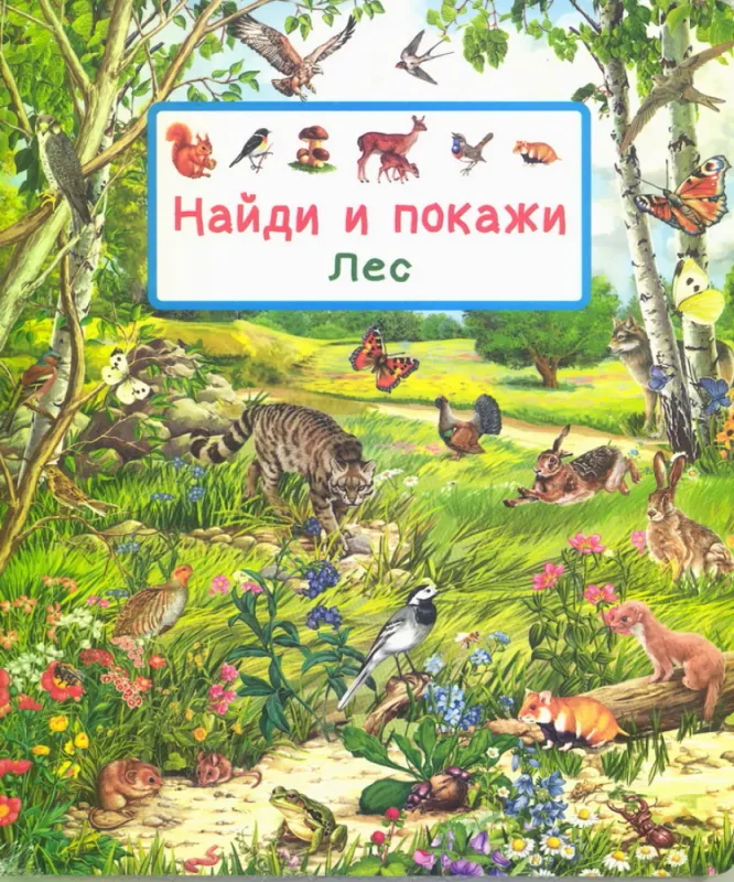 Найди и покажи. Лес