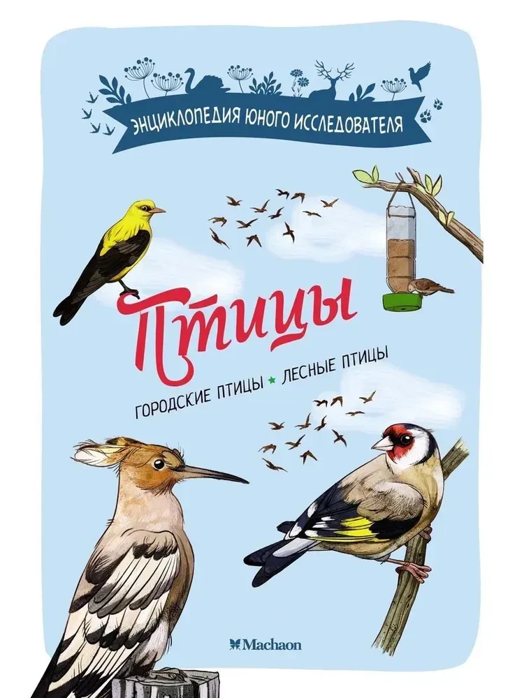 Птицы