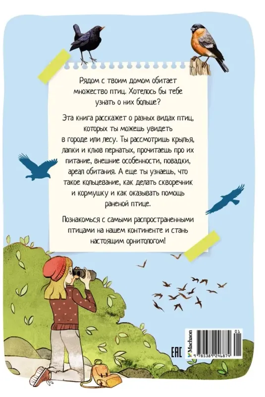 7247350869-large.webp