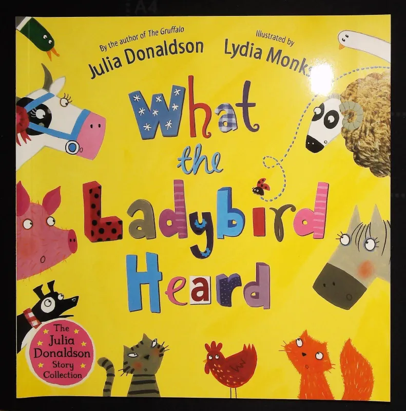 What the ladybird heard / Julia Donaldson